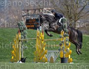 Curcio Carry Money TosTour2013- S5 2914 : Arezzo, Arezzo Equestrian Centre, Carry Money, Curcio Serena, Toscana Tour 2013, foto di Stefano Secchi ©